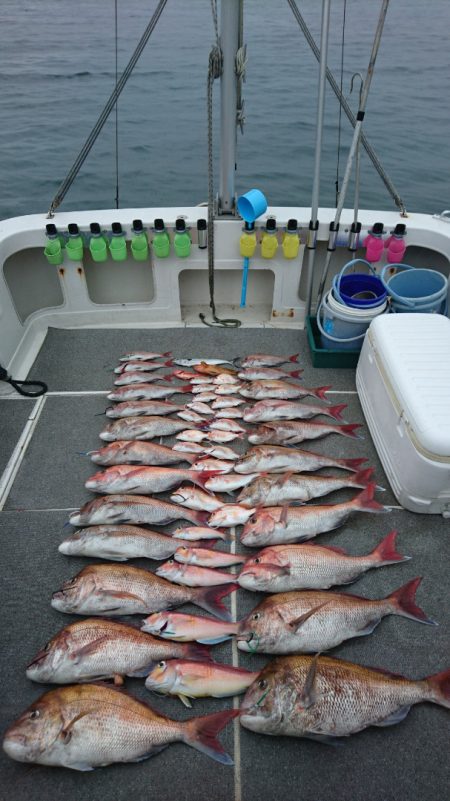 ARCADIAⅡ (アルカディアⅡ) 釣果