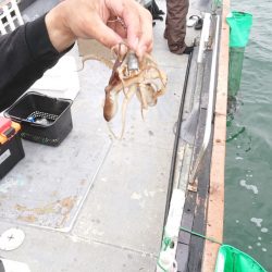 FISHING RISKY 釣果