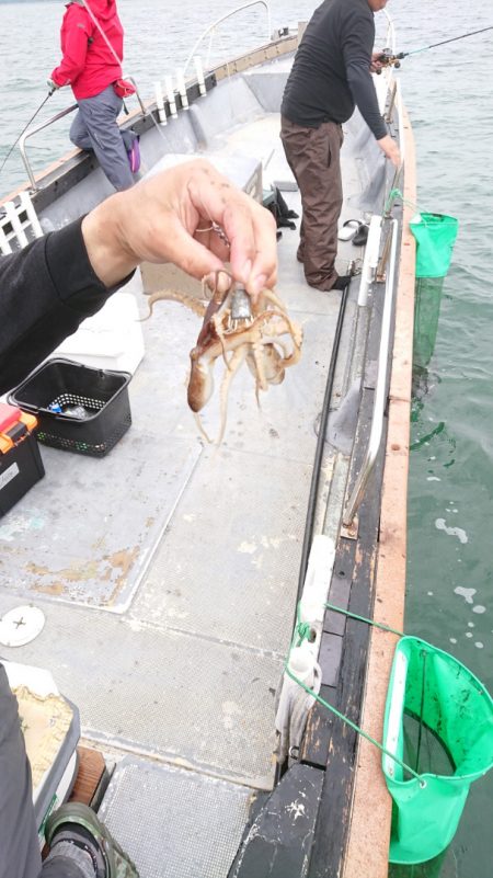 FISHING RISKY 釣果