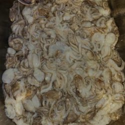 FISHING RISKY 釣果