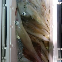 海龍丸（石川） 釣果