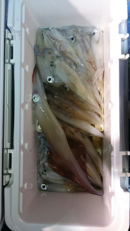 海龍丸（石川） 釣果