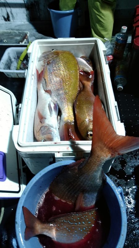 LUSTER『ラスター』 釣果