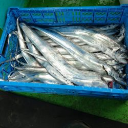 小島丸 釣果