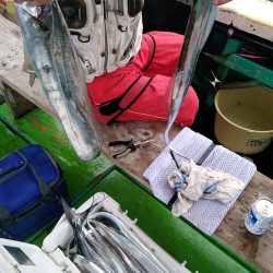 小島丸 釣果