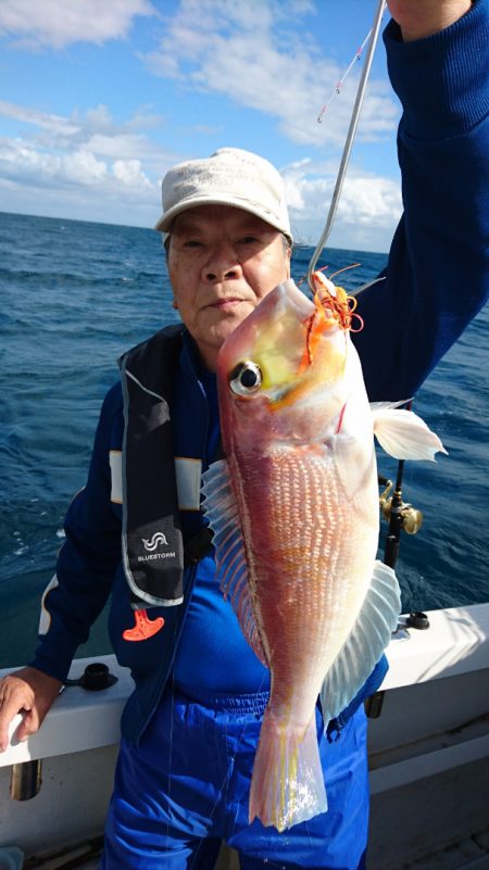 ARCADIAⅡ (アルカディアⅡ) 釣果