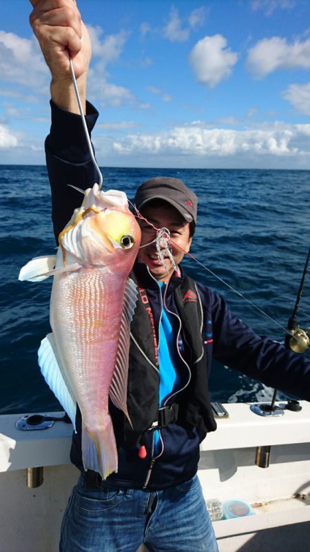 ARCADIAⅡ (アルカディアⅡ) 釣果