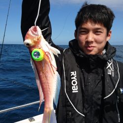 ARCADIAⅡ (アルカディアⅡ) 釣果