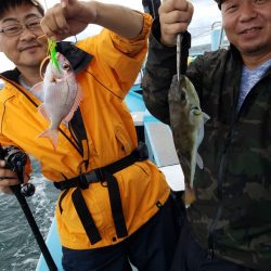 みやけ丸 釣果