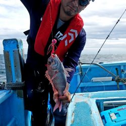 みやけ丸 釣果