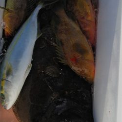 第二龍勢丸 釣果