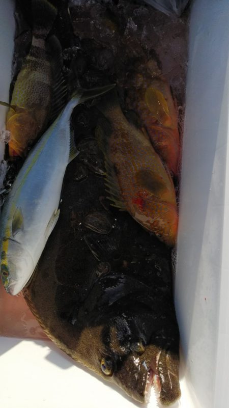 第二龍勢丸 釣果