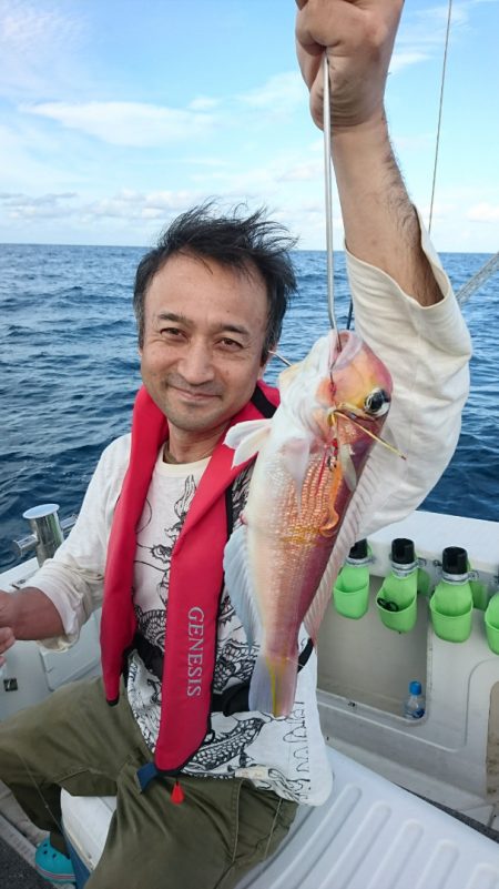 ARCADIAⅡ (アルカディアⅡ) 釣果