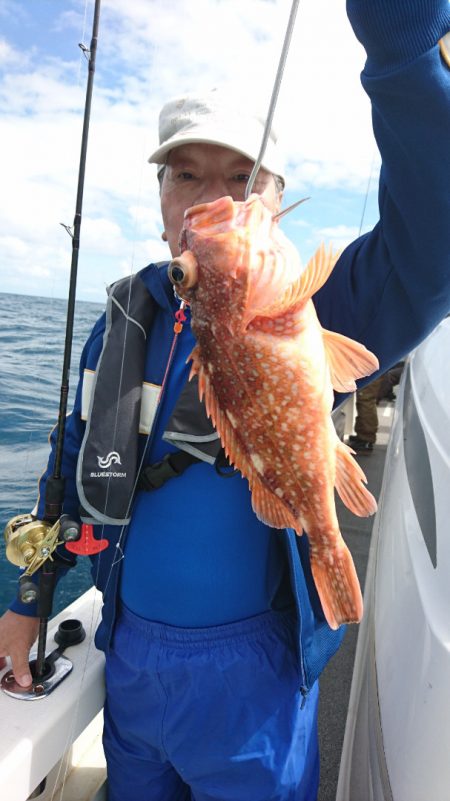 ARCADIAⅡ (アルカディアⅡ) 釣果