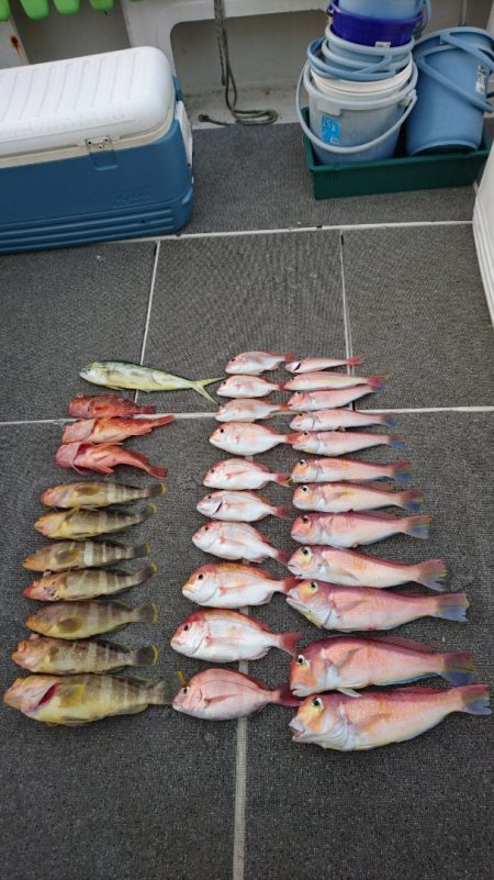 ARCADIAⅡ (アルカディアⅡ) 釣果