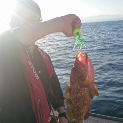 海龍丸（石川） 釣果