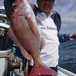 だて丸 釣果