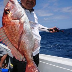 だて丸 釣果