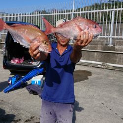 だて丸 釣果