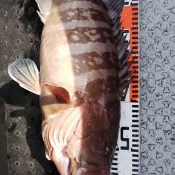 第二龍勢丸 釣果