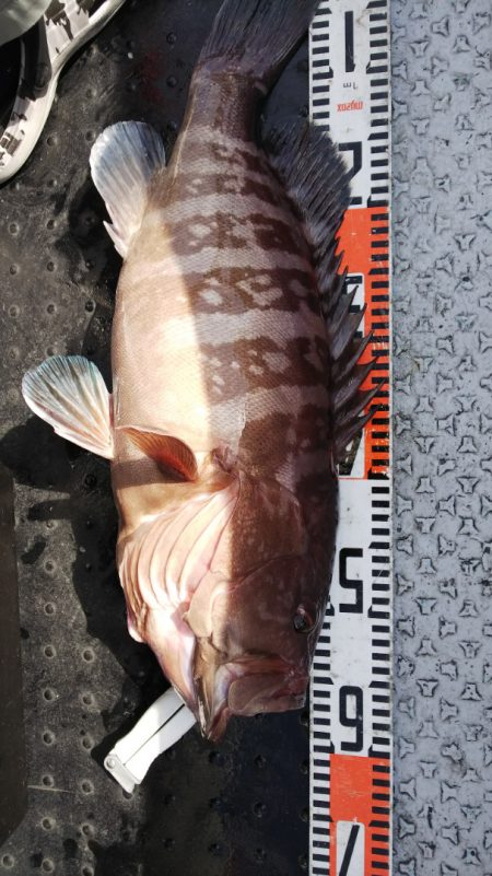 第二龍勢丸 釣果