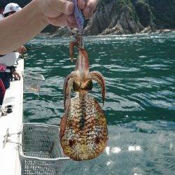 ARCADIAⅡ (アルカディアⅡ) 釣果