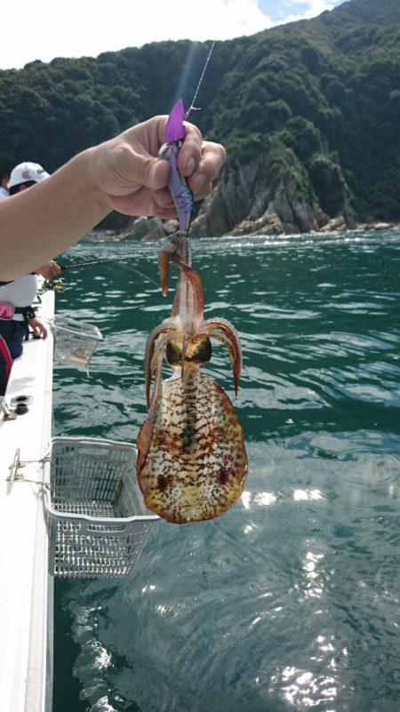 ARCADIAⅡ (アルカディアⅡ) 釣果