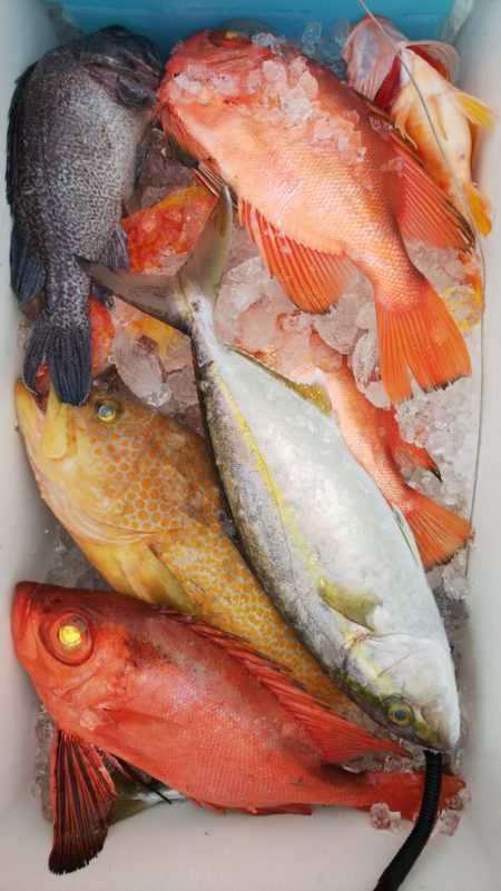 第二龍勢丸 釣果