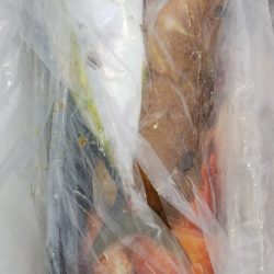 第二龍勢丸 釣果