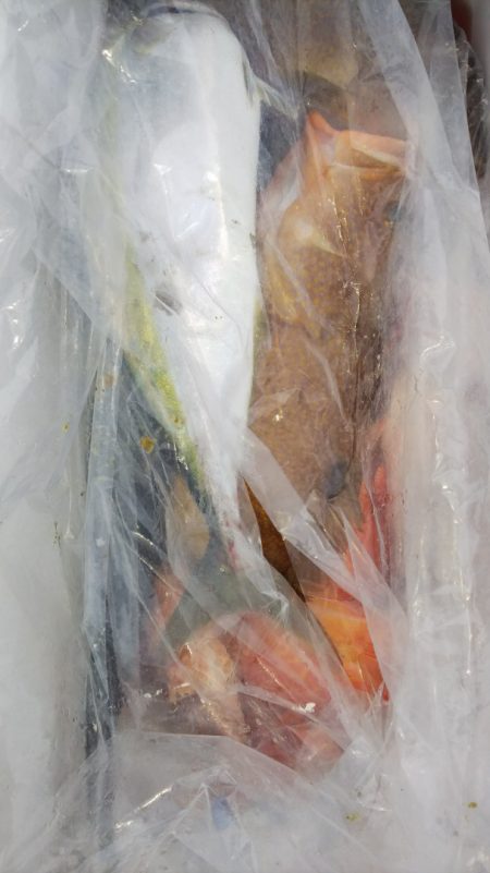 第二龍勢丸 釣果