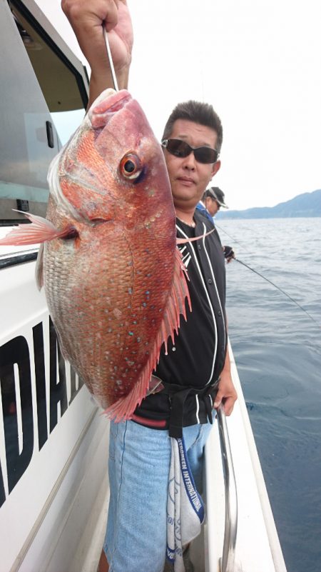 ARCADIAⅡ (アルカディアⅡ) 釣果