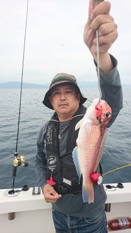 ARCADIAⅡ (アルカディアⅡ) 釣果