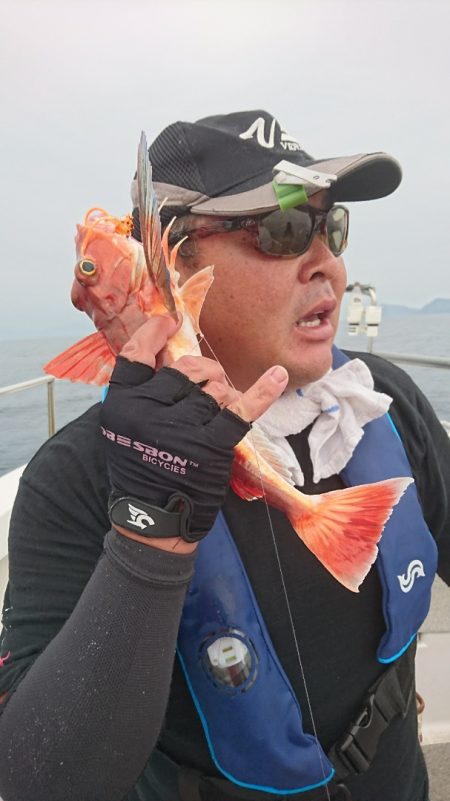 ARCADIAⅡ (アルカディアⅡ) 釣果