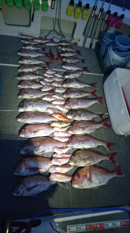 ARCADIAⅡ (アルカディアⅡ) 釣果