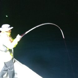 LUSTER『ラスター』 釣果