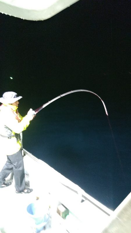 LUSTER『ラスター』 釣果