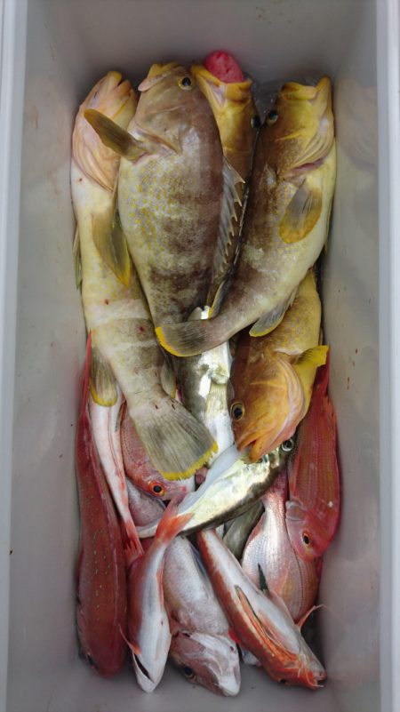 海皇丸 釣果