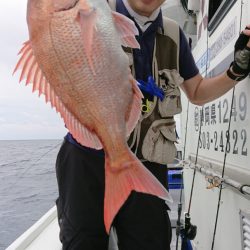 だて丸 釣果