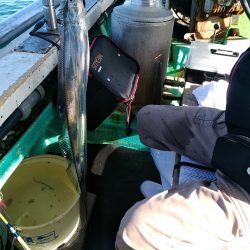 小島丸 釣果