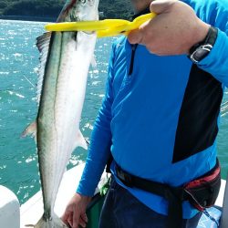 小島丸 釣果