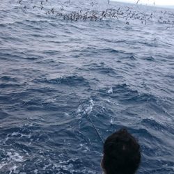 第三共栄丸 釣果