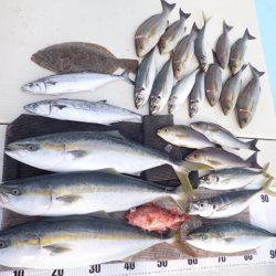 水天丸 釣果