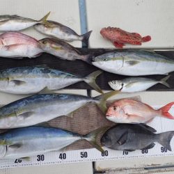 水天丸 釣果