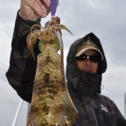渡船屋たにぐち 釣果