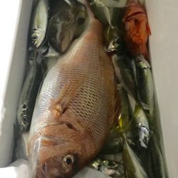 龍神丸（鹿児島） 釣果