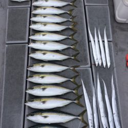 SeaRide(シーライド) 釣果