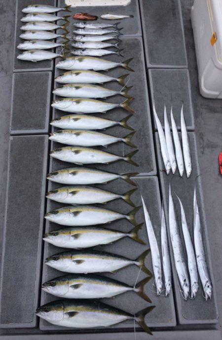 SeaRide(シーライド) 釣果