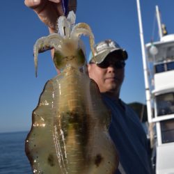 渡船屋たにぐち 釣果