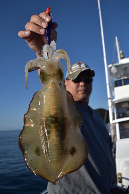 渡船屋たにぐち 釣果