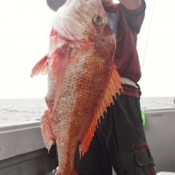 ブルースフィッシングサービス 釣果